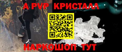 гидра Гагарин