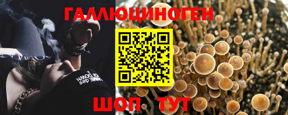 Миасс  Псилоцибиновые грибы мухоморы  Галлюциногенные грибы прущие грибы  Вход с VPN 